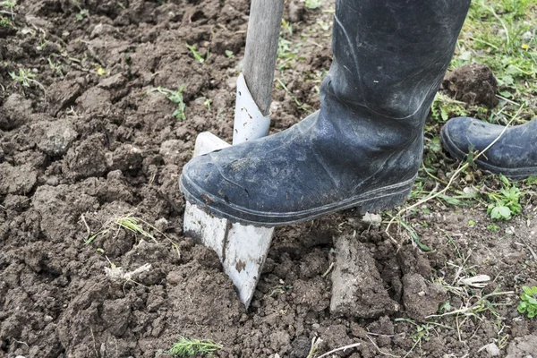 Digging spring soil with shovel — Stock Photo, Image