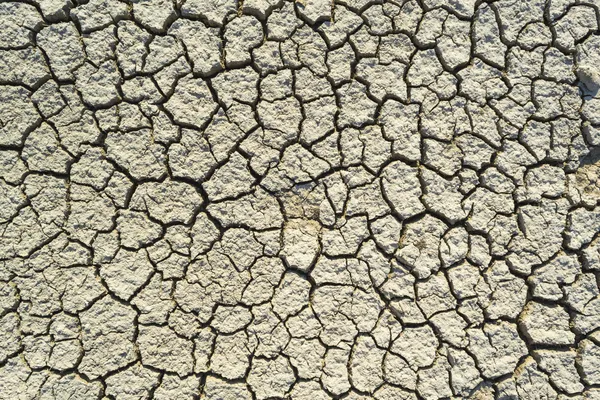 Droge grond — Stockfoto