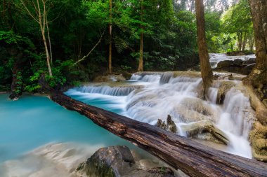 Erawan Şelalesi, Tayland 'daki güzel şelale derin ormanı.