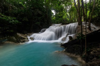 Erawan Şelalesi, Tayland 'daki güzel şelale derin ormanı.