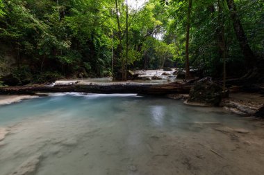 Erawan Şelalesi, Tayland 'daki güzel şelale derin ormanı.