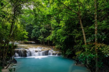 Erawan Şelalesi, Tayland 'daki güzel şelale derin ormanı.