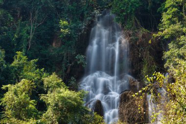 Thi lo su şelalesi, güzel şelale yağmur ormanlarının derinliklerinde, Tak vilayeti, Tayland,
