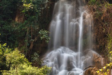 Thi lo su şelalesi, güzel şelale yağmur ormanlarının derinliklerinde, Tak vilayeti, Tayland,