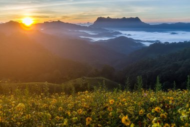 Doi Luang Chiang Dao, Chiang Mai, Tayland
