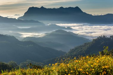 Doi Luang Chiang Dao, Chiang Mai, Tayland