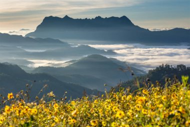 Doi Luang Chiang Dao, Chiang Mai, Tayland