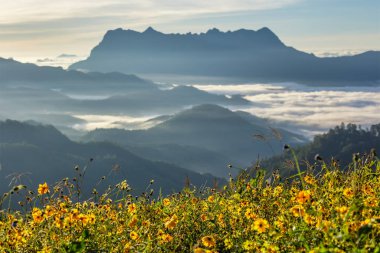 Doi Luang Chiang Dao, Chiang Mai, Tayland