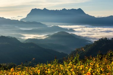 Doi Luang Chiang Dao, Chiang Mai, Tayland