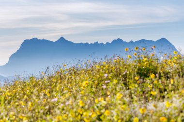 Doi Luang Chiang Dao, Chiang Mai, Tayland