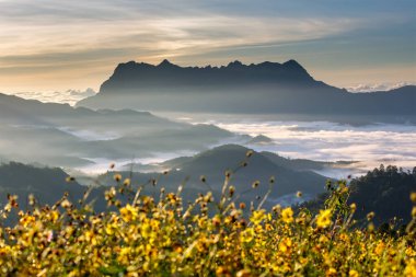 Doi Luang Chiang Dao, Chiang Mai, Tayland