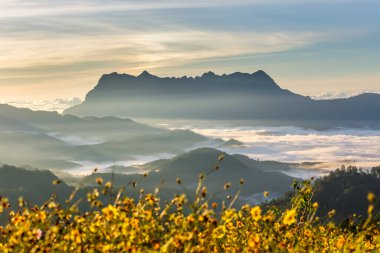 Doi Luang Chiang Dao, Chiang Mai, Tayland