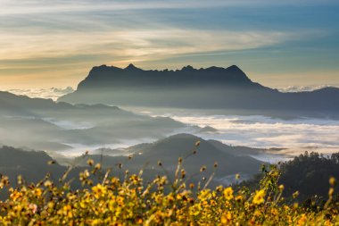 Doi Luang Chiang Dao, Chiang Mai, Tayland