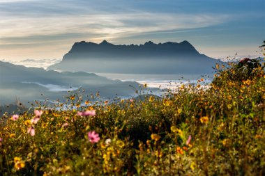 Doi Luang Chiang Dao, Chiang Mai, Tayland