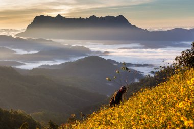 Doi Luang Chiang Dao, Chiang Mai, Tayland