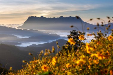 Doi Luang Chiang Dao, Chiang Mai, Tayland
