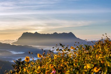 Doi Luang Chiang Dao, Chiang Mai, Tayland