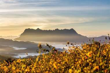 Doi Luang Chiang Dao, Chiang Mai, Tayland