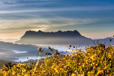 Doi Luang Chiang Dao, Chiang Mai, Tayland