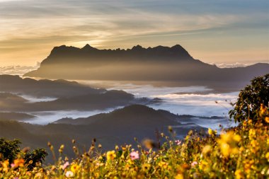 Doi Luang Chiang Dao, Chiang Mai, Tayland
