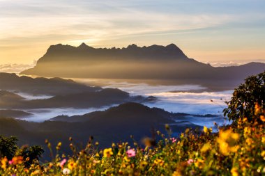 Doi Luang Chiang Dao, Chiang Mai, Tayland