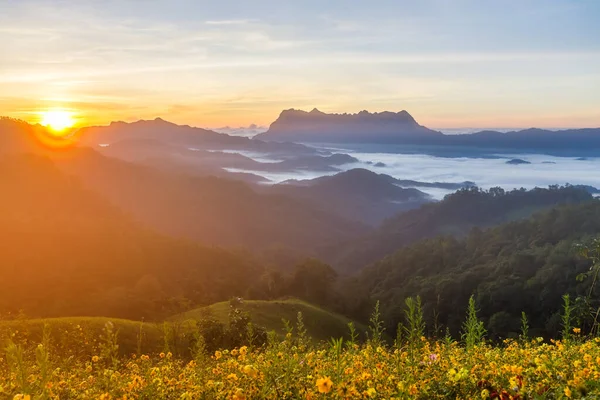 Beautiful Landscape Morning Doi Luang Chiang Dao Chiang Mai Thailand — Stock Photo, Image