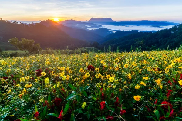 Hermoso Paisaje Mañana Doi Luang Chiang Dao Chiang Mai Tailandia — Foto de Stock