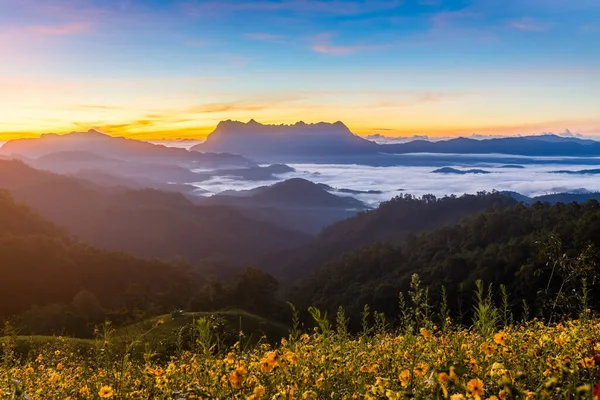 Schöne Landschaft Morgen Doi Luang Chiang Dao Chiang Mai Thailand — Stockfoto