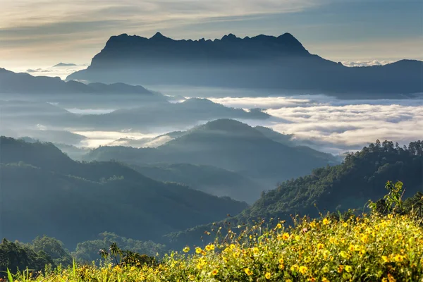 Schöne Landschaft Morgen Doi Luang Chiang Dao Chiang Mai Thailand — Stockfoto