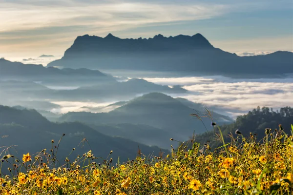 Schöne Landschaft Morgen Doi Luang Chiang Dao Chiang Mai Thailand — Stockfoto