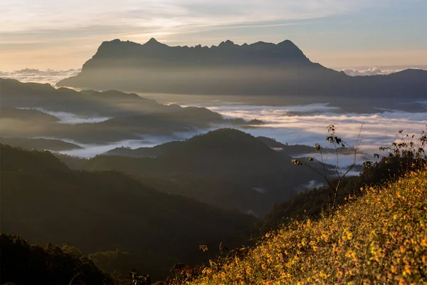 泰国清迈道光清道的美丽风景 — 图库照片