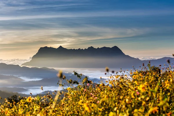 Doi Luang Chiang Dao, Chiang Mai, Tayland