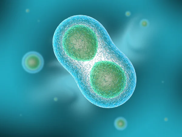 Osmosi Cells — Stock Photo, Image