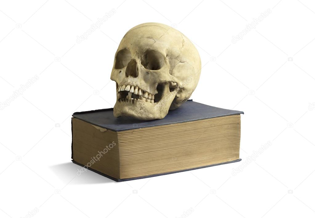 Skull on book