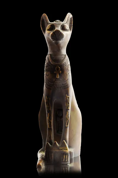Mısır kedi siyah