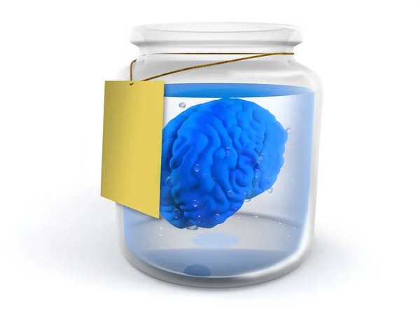 Мозг в банке — стоковое фото