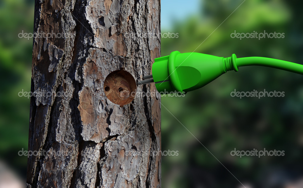  Plug  the tree   Stock Photo  Zinco79 38110161