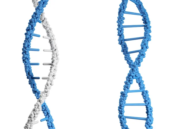 ДНК 1 — стоковое фото