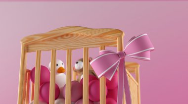 kız bebek için crandle