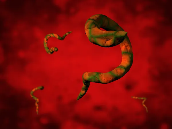 Parasite — Stock Photo, Image