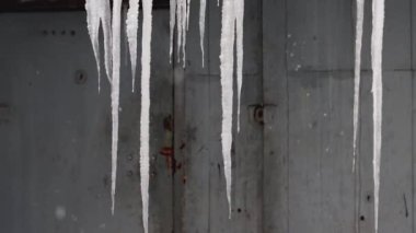 Kışın soğuk havada büyük buz sarkıtları çatıdan sarkıyor. Yakından. Arkaplan