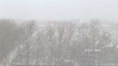 Kışın ağaçların arka planında şiddetli kar yağışı var. Metin için alanı kopyala