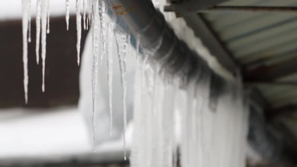 Große Eiszapfen hängen im Winter bei frostigem Wetter aus nächster Nähe vom Dach. Hintergrund — Stockvideo