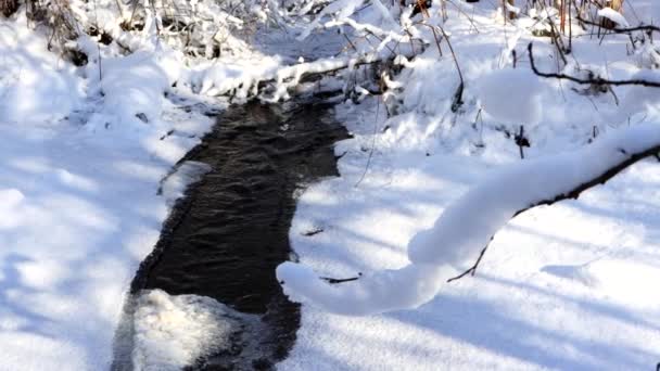 Stroom van water, een kleine rivier stroomt tegen de achtergrond van sneeuw. Ontdooien concept, sneeuw smelten, prachtige natuur — Stockvideo