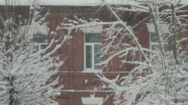 Flocos de neve no fundo de um velho edifício de tijolos vermelhos na cidade. Tempo de inverno — Vídeo de Stock