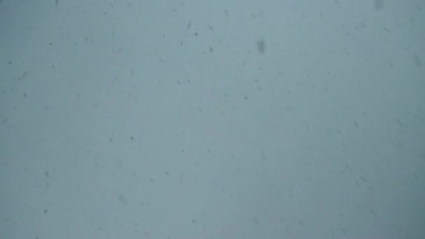 Сильный снегопад на небе. С неба падают большие хлопья снега. Погода зимой, фон — стоковое видео