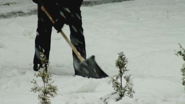 A man in a black jacket with a shovel removes snow in winter in snowfall, background — Stock Video