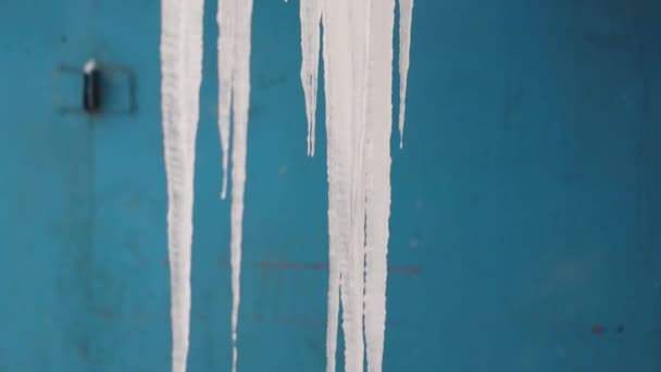 Large icicles hang from the roof in winter in frosty weather, close-up. Background — Stock Video