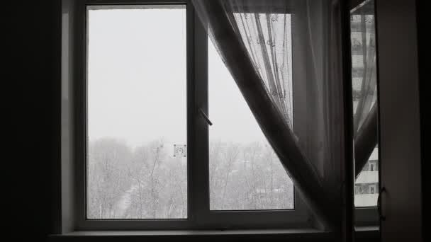 Vue de la fenêtre de la maison à la rue en hiver. Grandes chutes de neige, flocons de neige tombant sur le sol, fond — Video