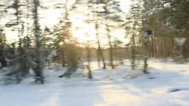 Прекрасний зимовий ландшафт природи та ліс на фоні заходу сонця. Вид з машини в русі. Багато снігу. Копіювати простір для тексту — стокове відео
